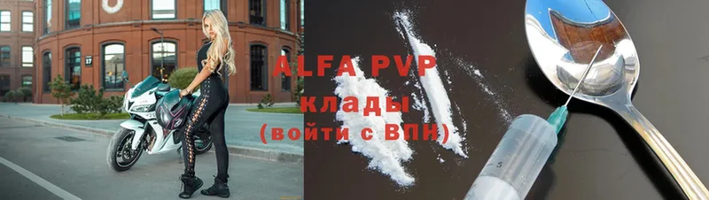 APVP VHQ  Курчалой 